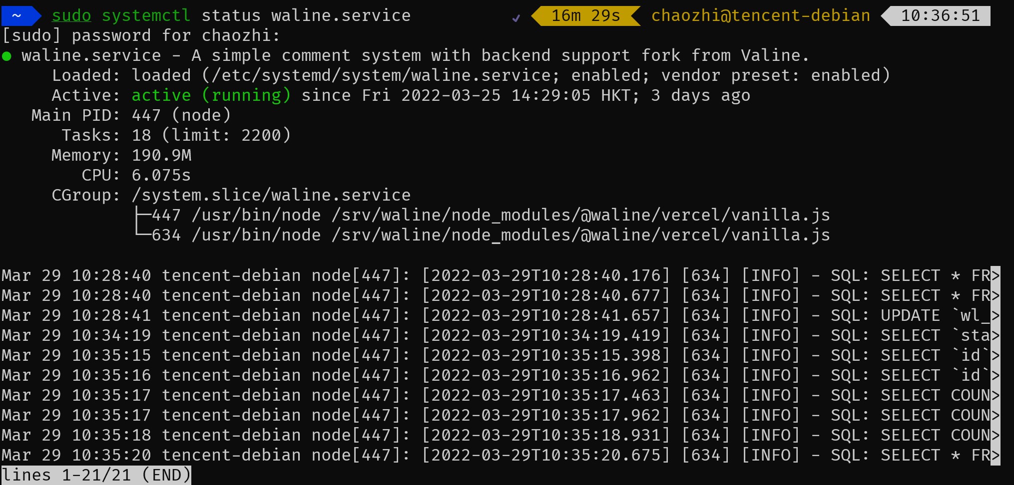 systemd 启动 Waline