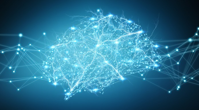 面向神经科学家的人工神经网络
